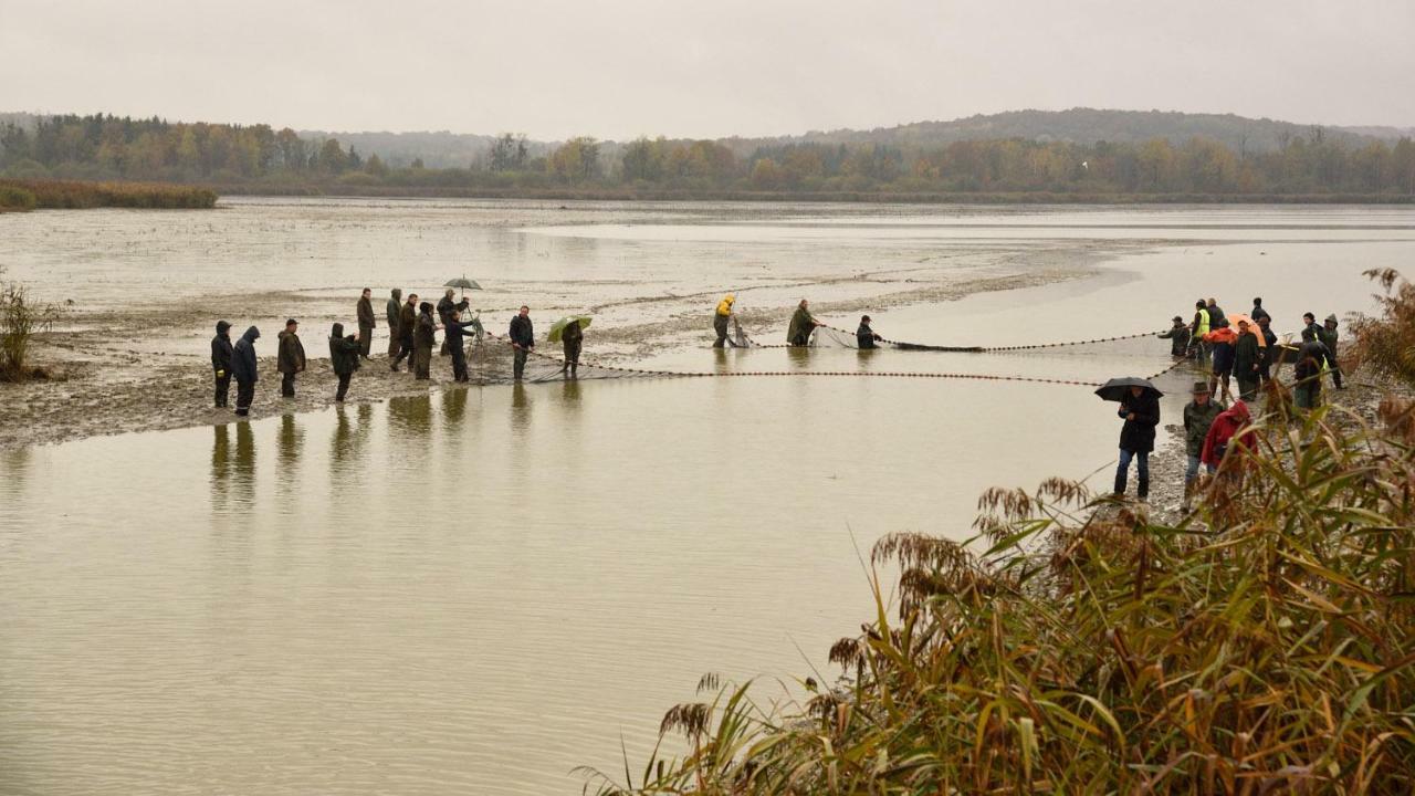 Gite De L'Etang Belval-en-Argonne Exterior foto